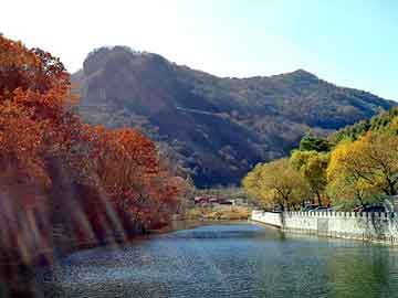 澳彩龙门客栈图片_董袭莹规培后学术生涯如火箭般蹿升——记青年才俊的辉煌蜕变